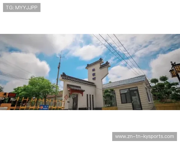 山东泰山侧翼推进切开缺口